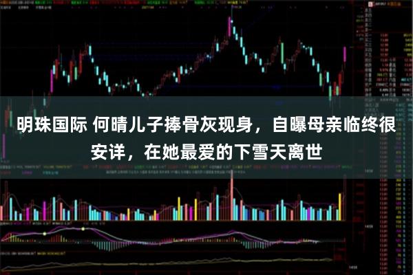 明珠国际 何晴儿子捧骨灰现身,自曝母亲临终很安详,在她最爱的下雪天离世