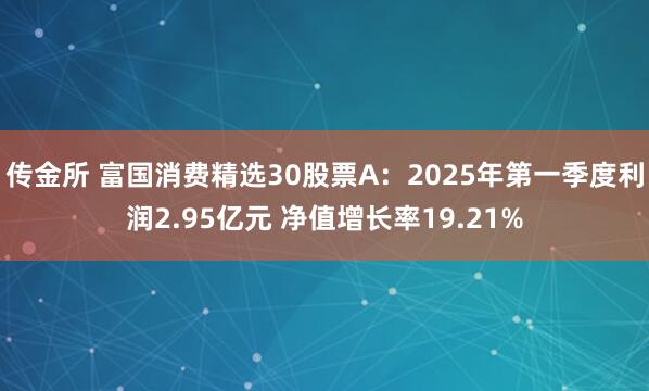 传金所 富国消费精选30股票A：2025年第一季度利润2.95亿元 净值增长率19.21%