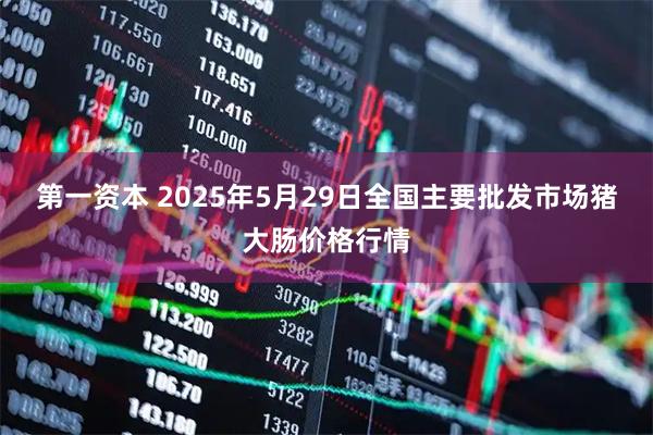第一资本 2025年5月29日全国主要批发市场猪大肠价格行情