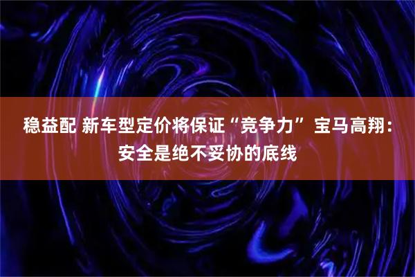 稳益配 新车型定价将保证“竞争力” 宝马高翔：安全是绝不妥协的底线